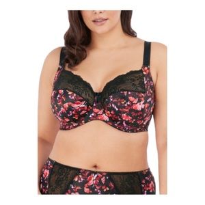 Elomi Morgan Stretch Lace Banded Underwire Bra Autumn Breeze size 36G